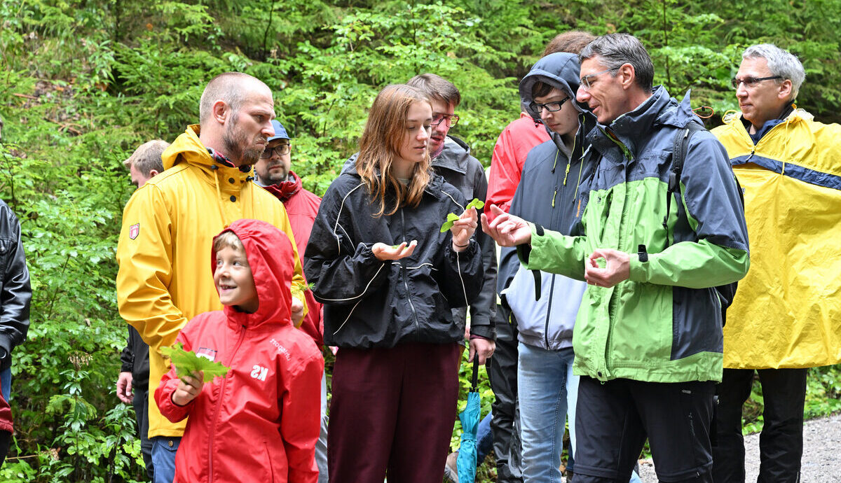 Mit Racks4Roots wächst unser Engagement für die Umwelt mit der Digitalisierung von Geschäftsprozessen