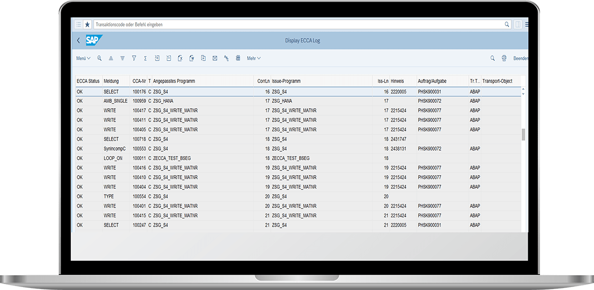 Überblick über den Custom Code - mit Fujitsu Easy CCA // Screenshot eines Notebooks